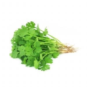Coriander