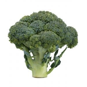 Broccoli