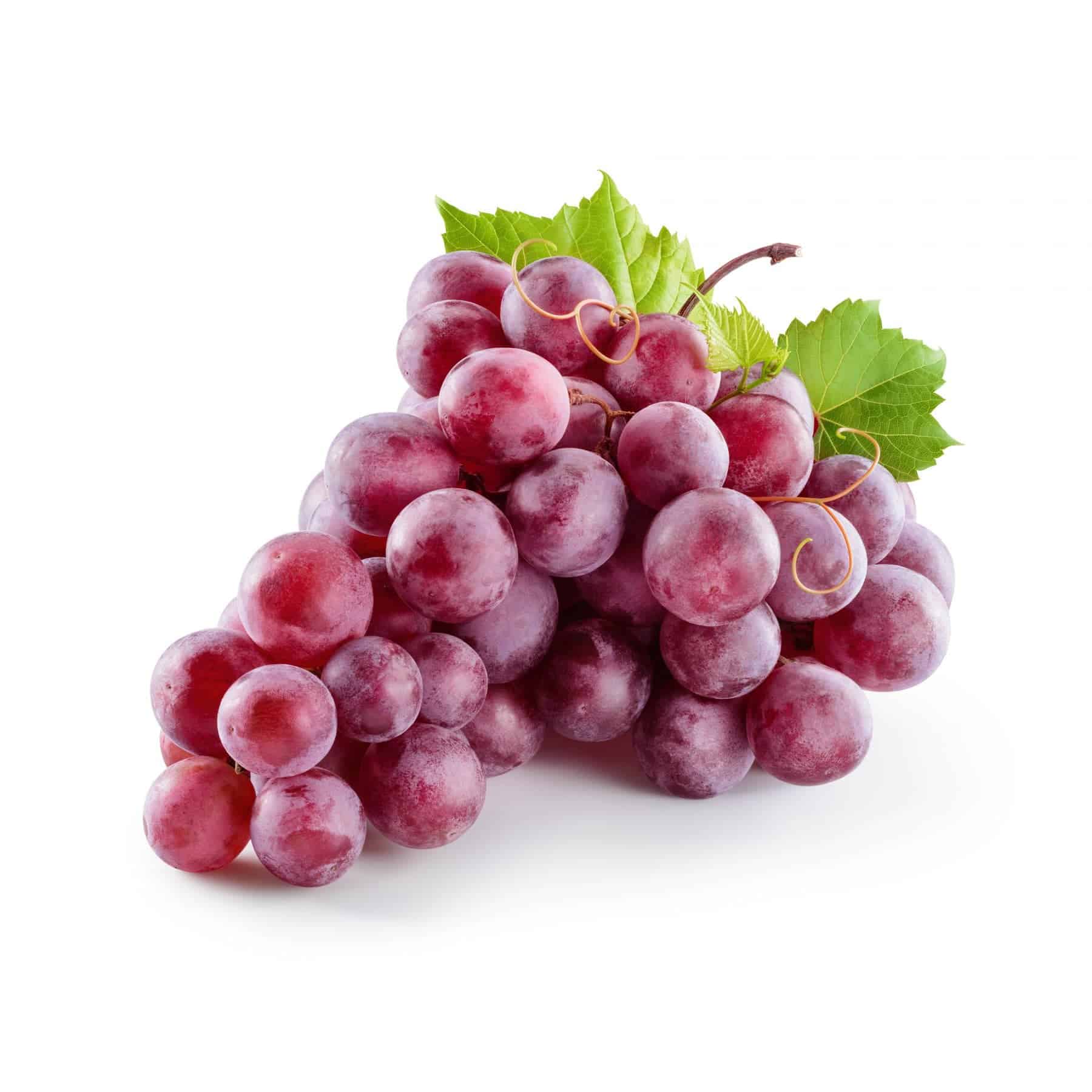 Red Seedless Grapes M Hughes and Sons, Llandudno