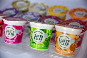 Llaeth Y Llan Yoghurt Selection